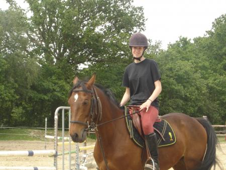 tif et krisco
